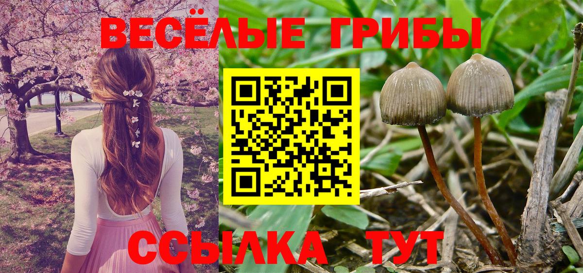 Серов  Псилоцибиновые грибы прущие грибы  Псилоцибиновые грибы GOLDEN TEACHER  Вход с VPN 
